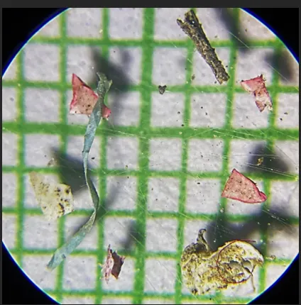 AIRBORNE "MICROPLASTIC DUST" IN OUR CITIES: A NEW HEALTH THREAT RIGHT ABOVE OUR HEADS