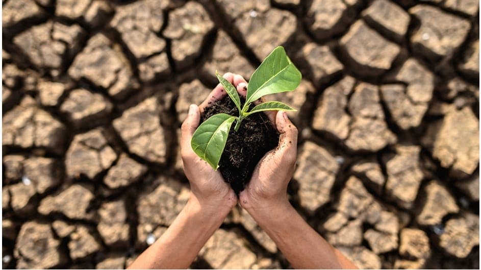 Cover image for: Current Climate Changes in India: Reasons and Solutions