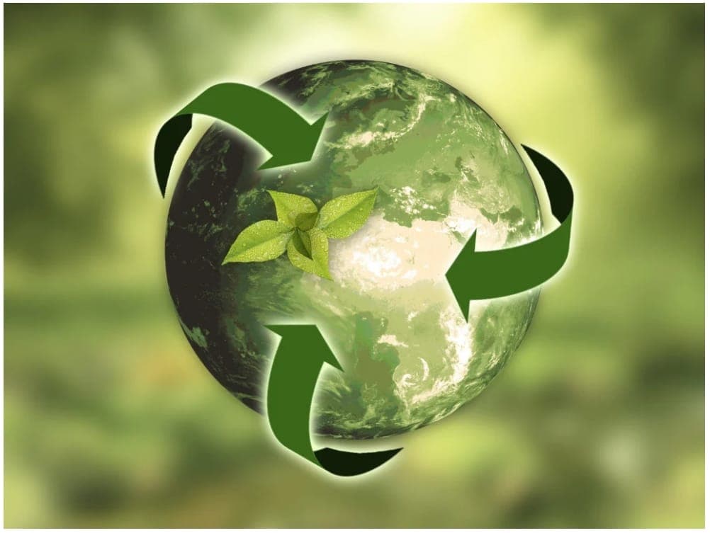 Cover image for: Measuring distance in a connected world: Telecoupling, Metacoupling, and the quantification of sustainability
