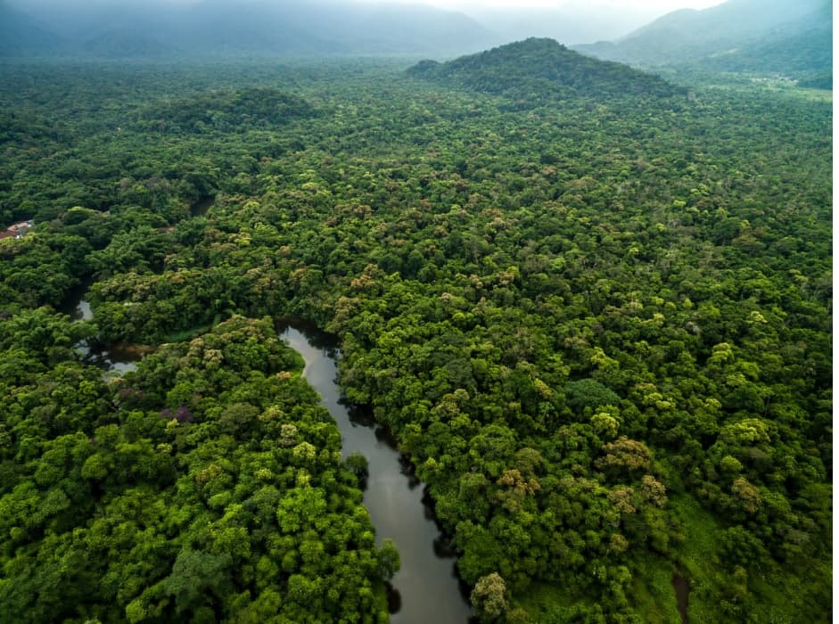 Cover image for: Planetary Health and Community Resilience: Comparative Lessons from India and the Amazon Basin